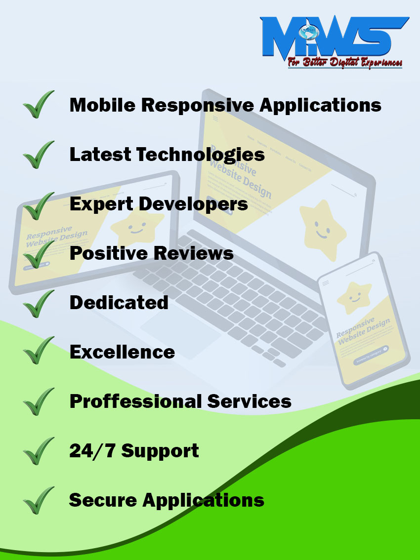 Why choose Meru web solutions for your it solutions